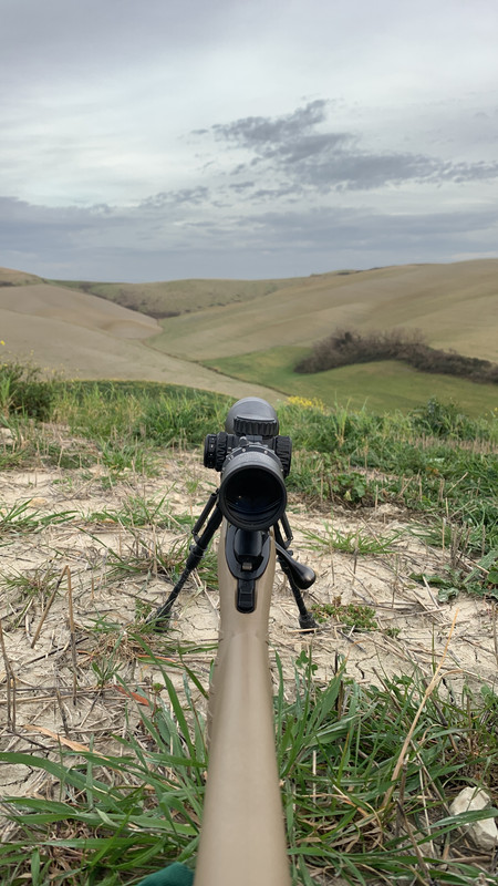 4868B1AE-1A8B-4AA3-9BF4-61359D51DDC8