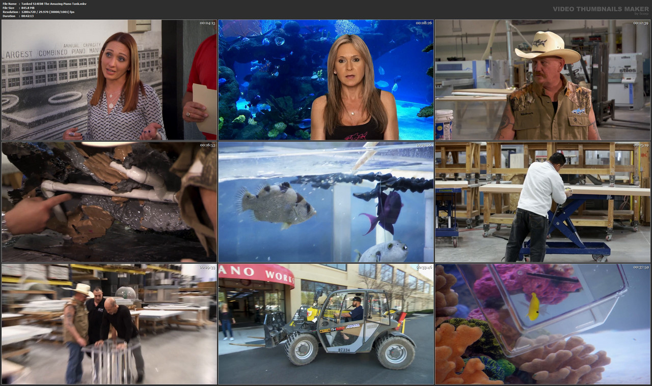 Tanked S14 E08 The Amazing Piano Tank mkv — Postimages