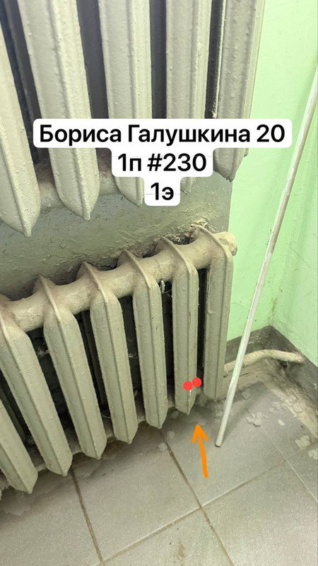 IMG 3084
