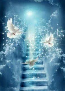 [Image: FB-IMG-1744803098980.jpg]