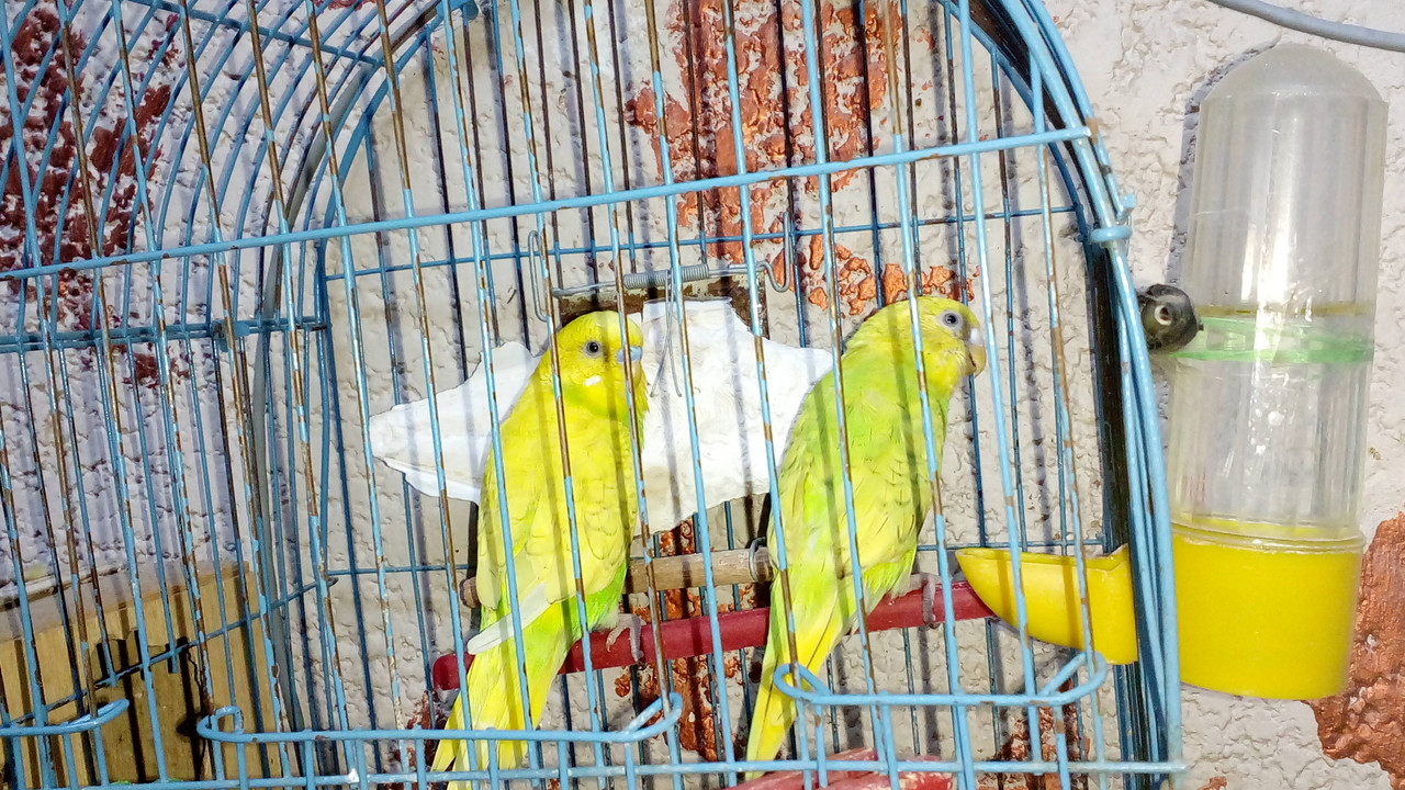 IMG_٢?١٨?٨١?_١٨?٣٤٣