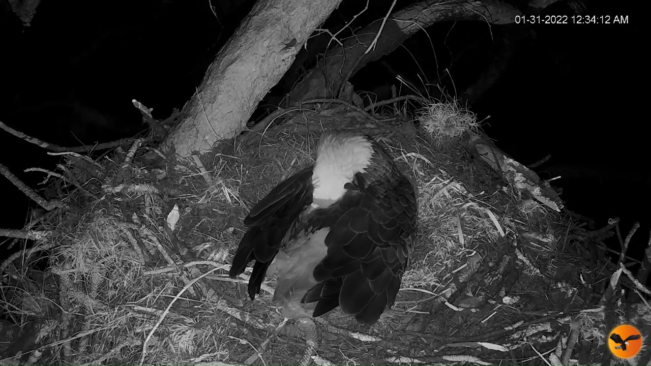 EC 4K Overhead Cam 7-52-28 screenshot