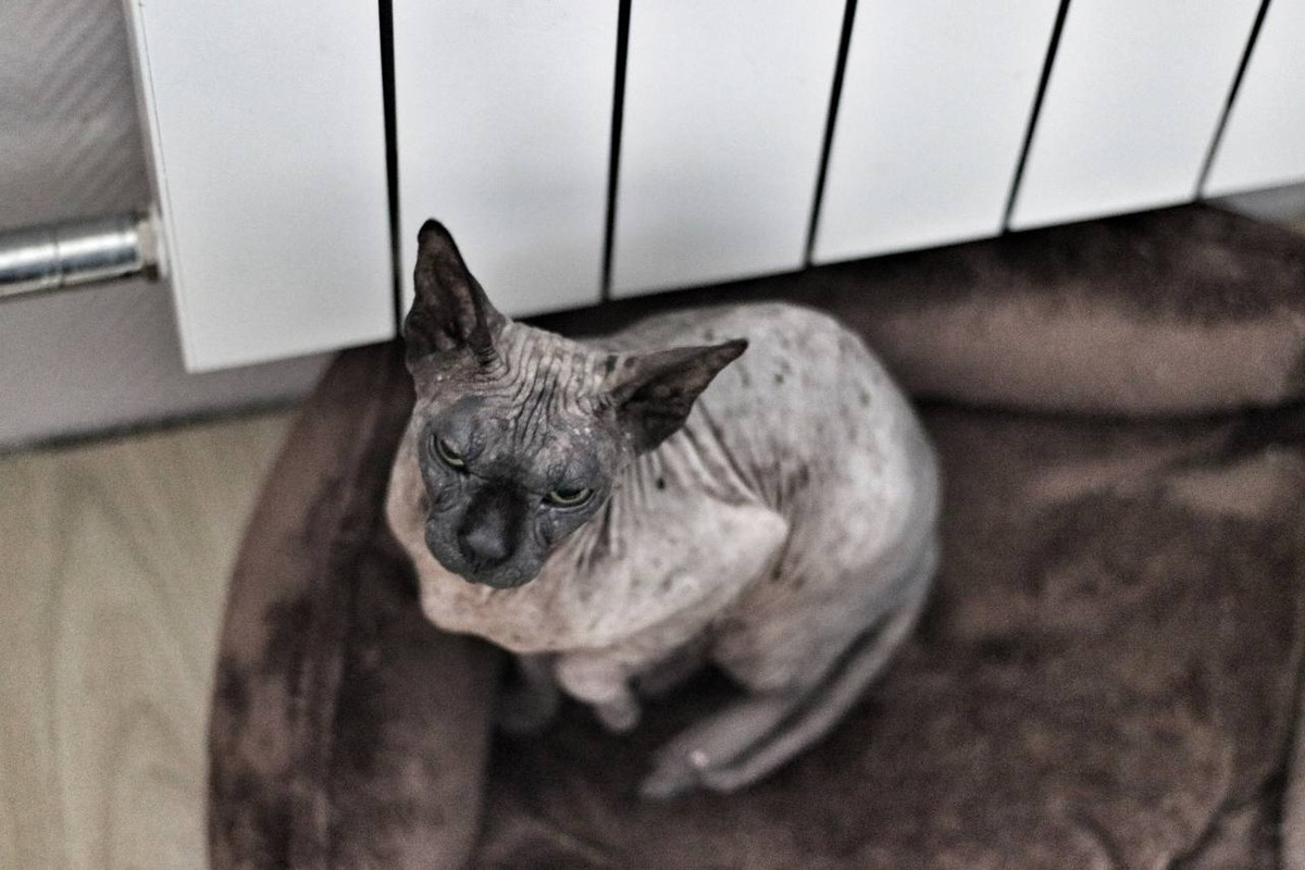 C3372EE8-E076-4EE1-818D-830A34B883EF