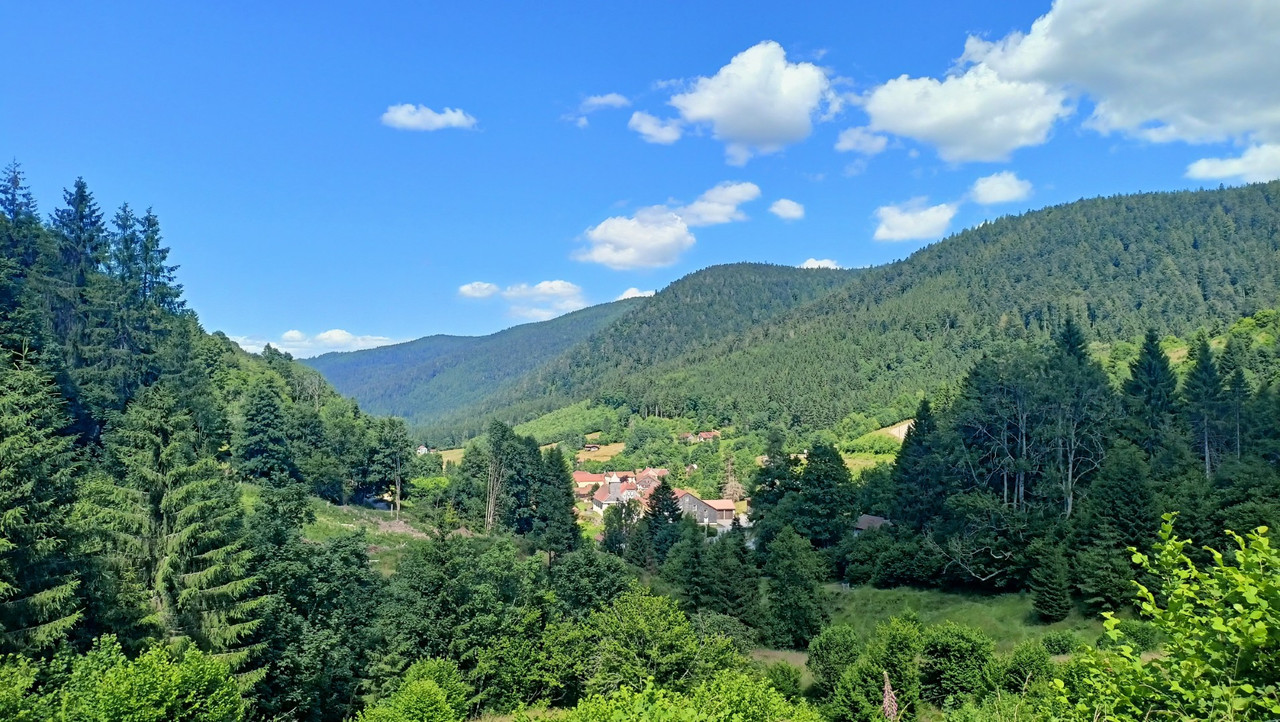 IMG20250628155546 (Large)