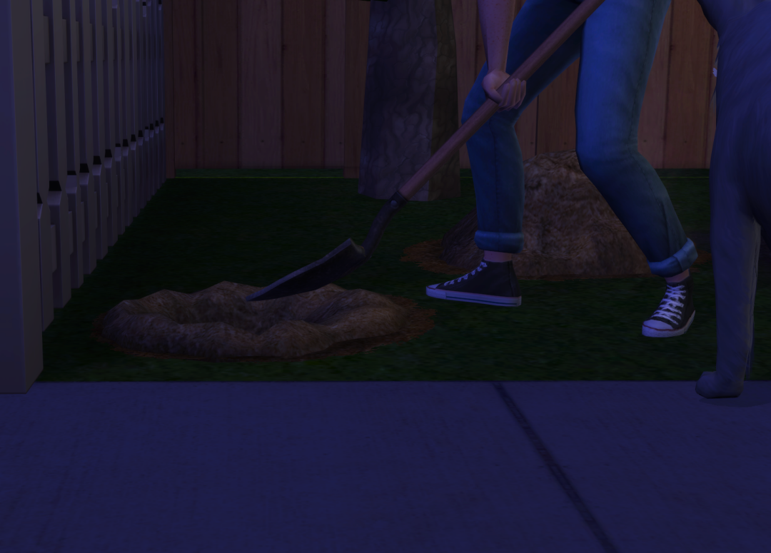 Sims2-EP9-RPC-2024-01-26-15-26-31-48