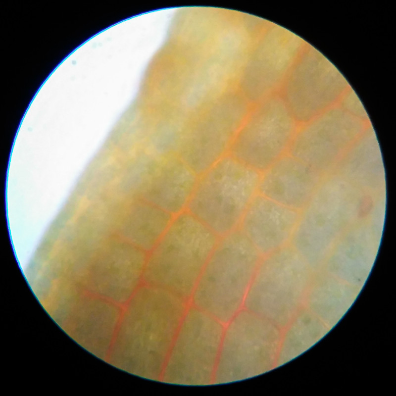 IMG 20250614 112723 HDR