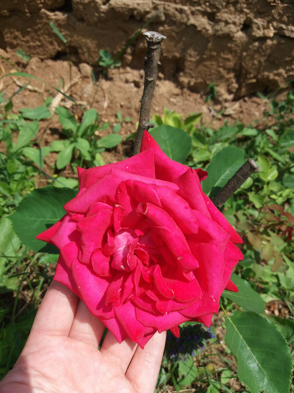 20190622_130719