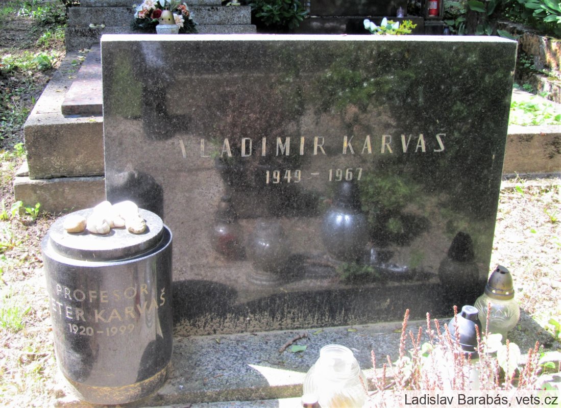 47666-ba-su-karvas-p-2