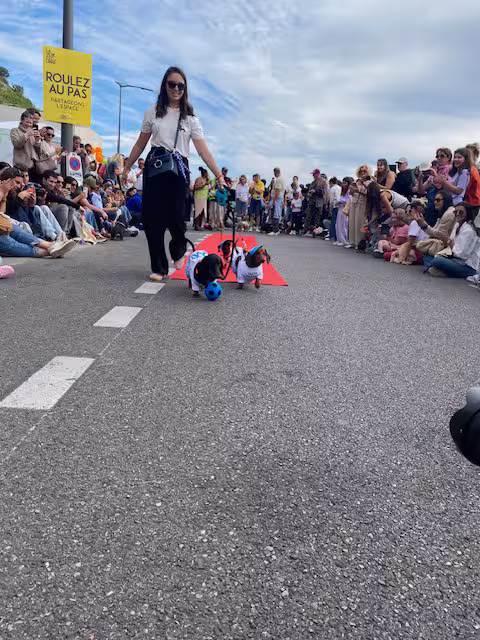 [Image: temp-Image-HHCgu-V.avif]