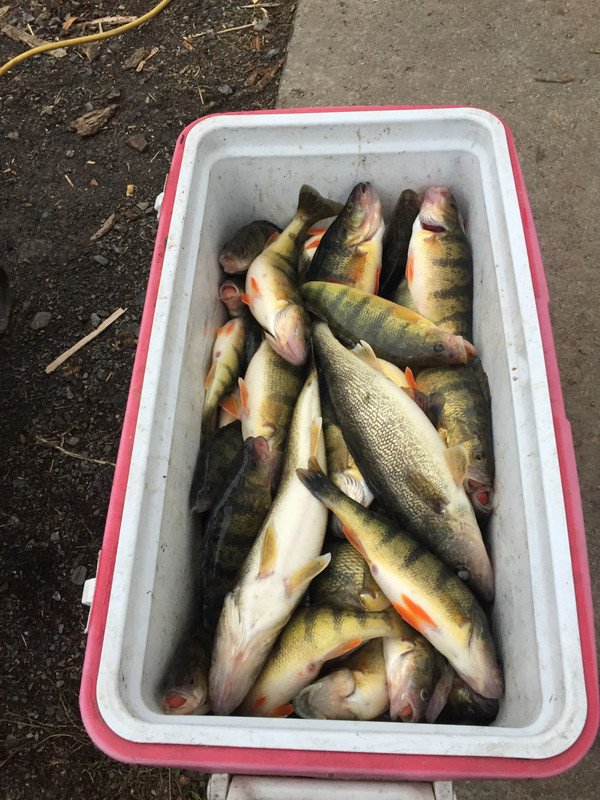 BE8F0C0C-478A-4DB9-8A58-37B79ED48391