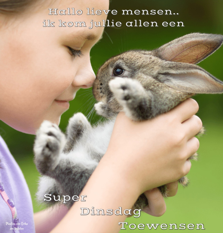 0BFA7DCA-D00C-4A74-BA6B-58AD1EFA03C0