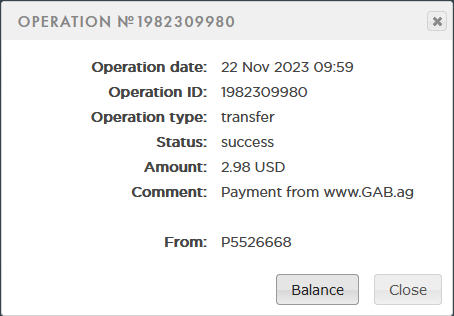 My payment