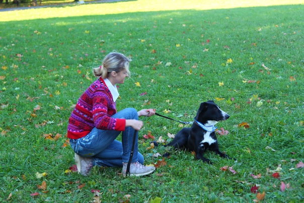 3EE24095-28D2-4B6B-8DBF-24F21E1ABA7A