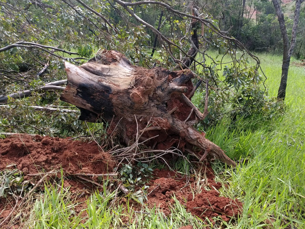 WhatsApp Image 2020-01-31 at 15.50.18 (1)