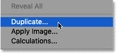 duplicate-image-command