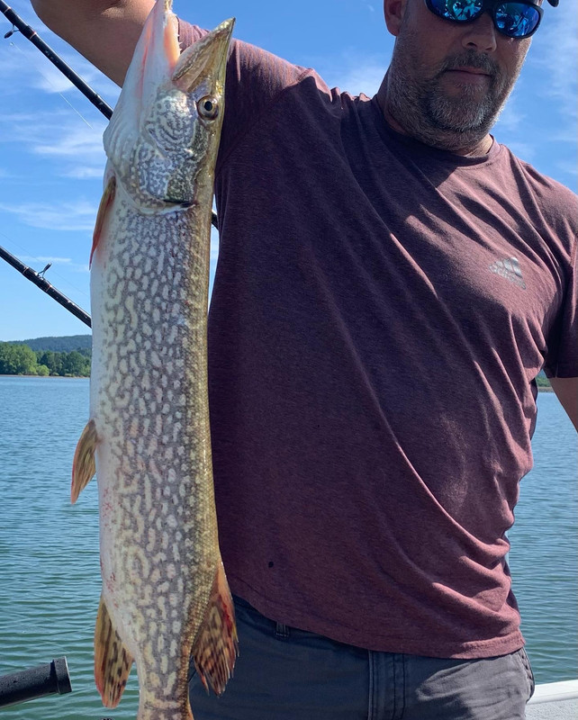 CA9C1820-FEDF-43C3-8DDF-CDD359740FC1