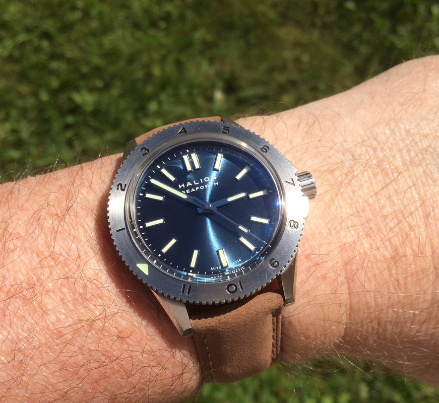 Divers with Steel bezel?
