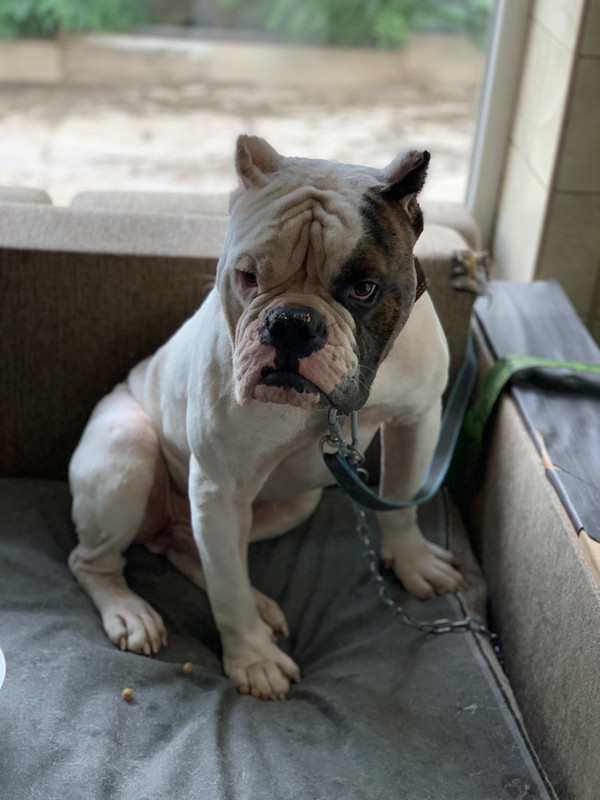 69D8A99A-A96F-4D78-A2F4-2AEEF67DAD81