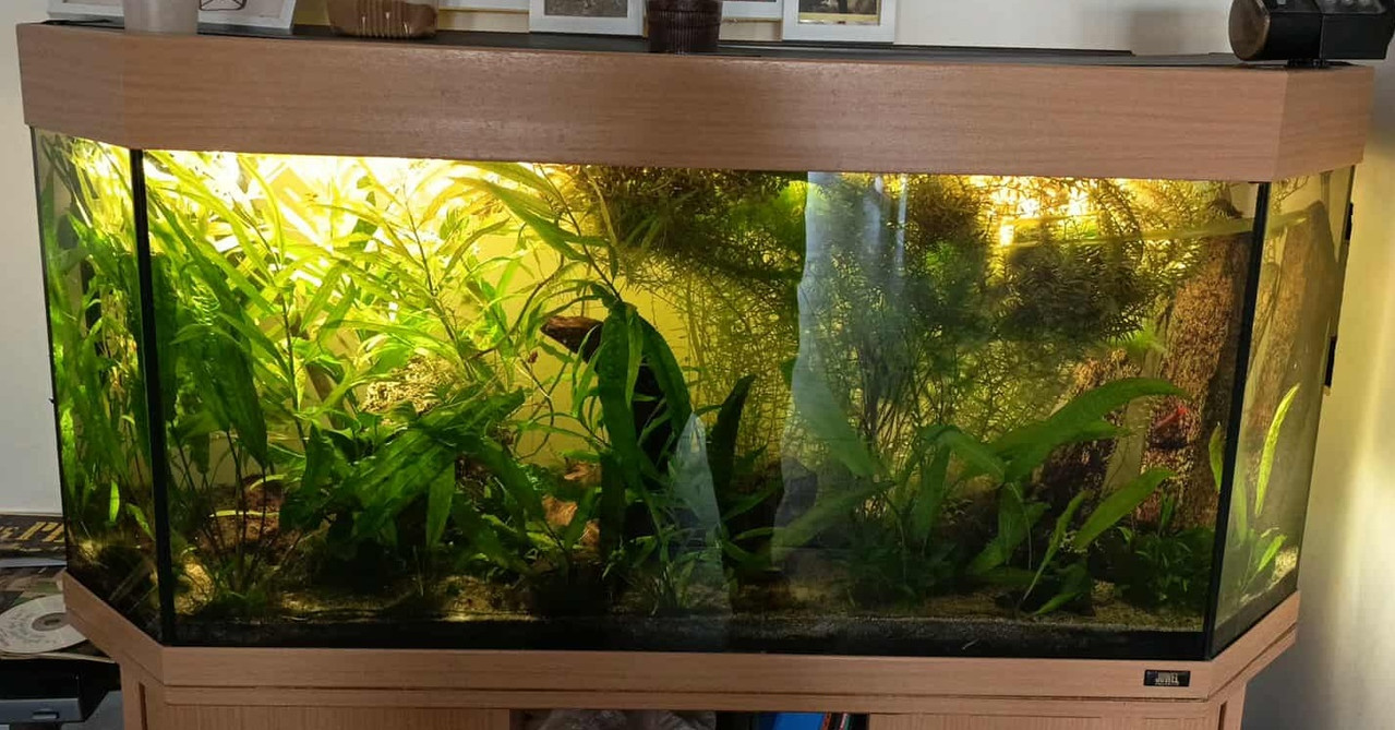 582589805 1372657420904399 1336138121522419022 n