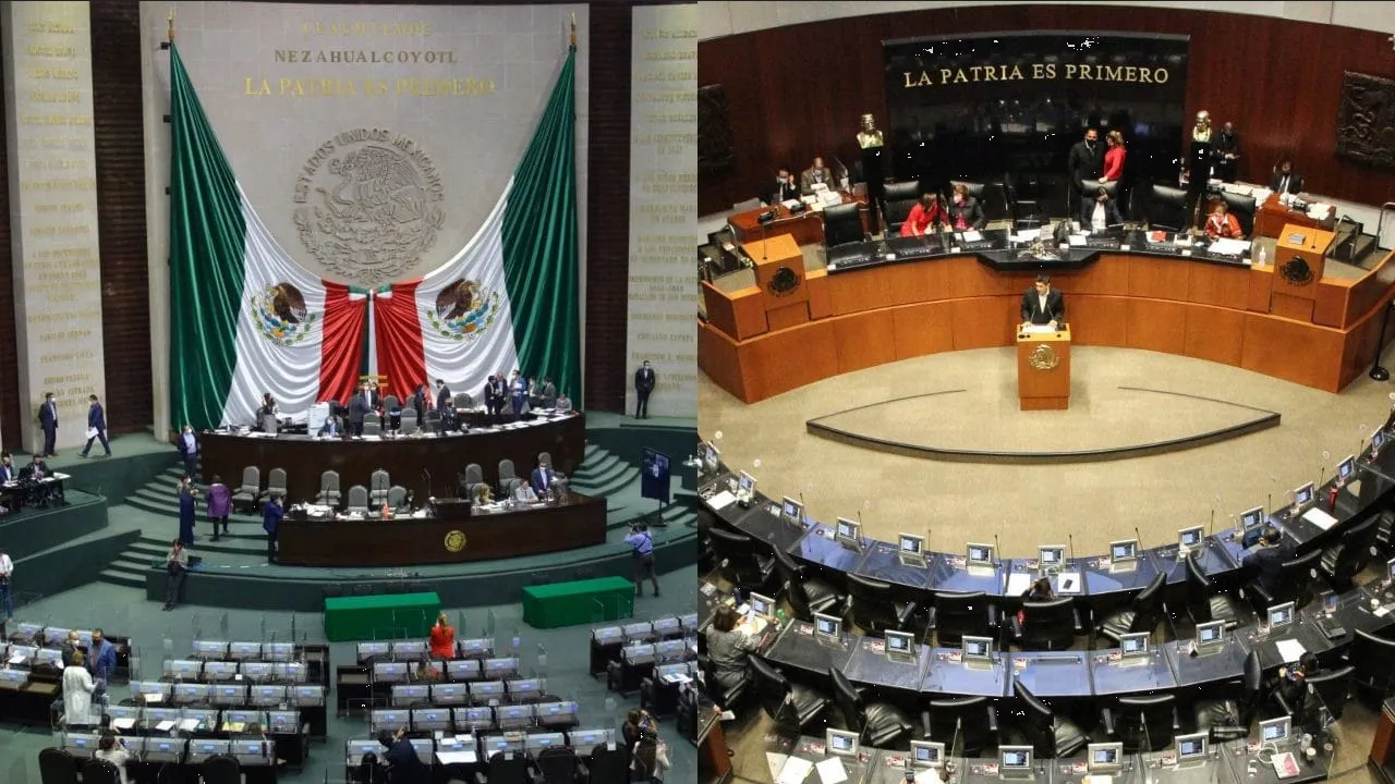 68% de los senadores y más del 90% de los diputados buscarán reelegirse en 2024