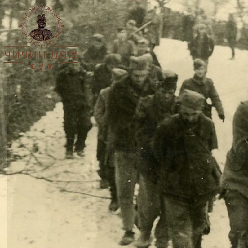 [Слика: 472945577-122212779620194280-8966390668134136723-n.jpg]