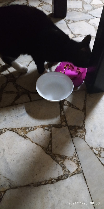 77736DD4-2952-4861-9B43-36E9A14CA510