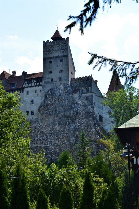 Rumanía y sus pueblos-2015 - Blogs de Rumania - Bran-7-8-2015 (16)