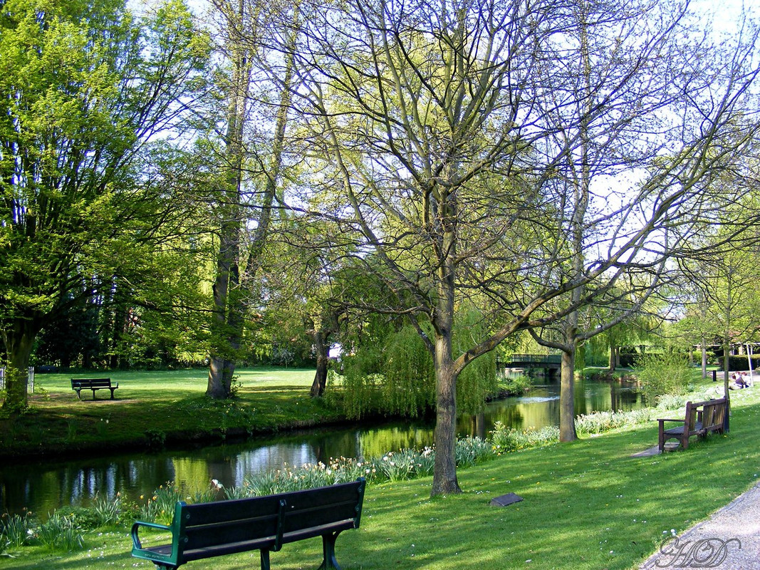 Castle-grounds-river-april-09-HD.jpg