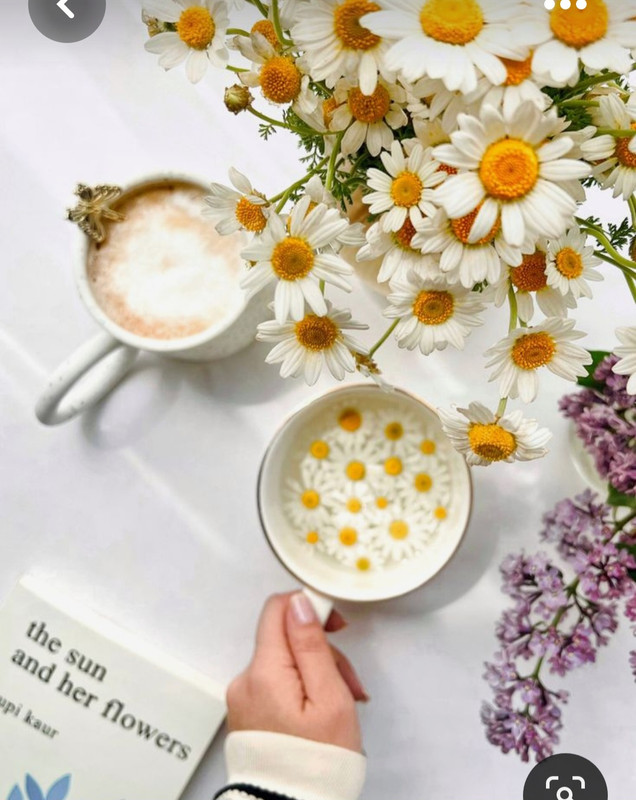 Screenshot_20230420_214558_Pinterest