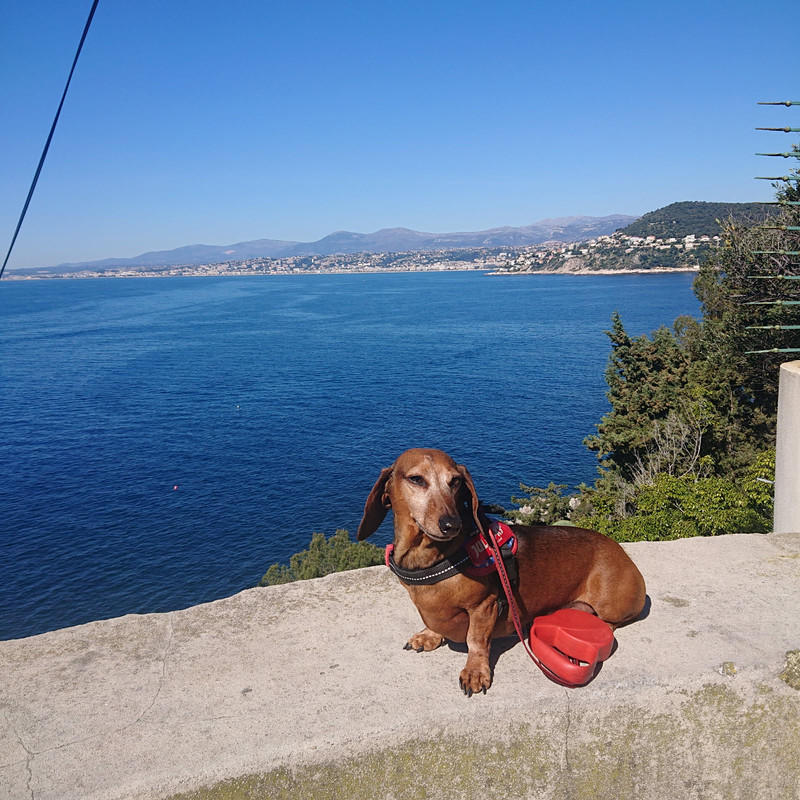 [Image: IMG-20250718-133906.jpg]