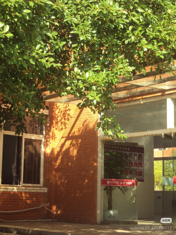 photo 10 2026 01 03 21 19 51