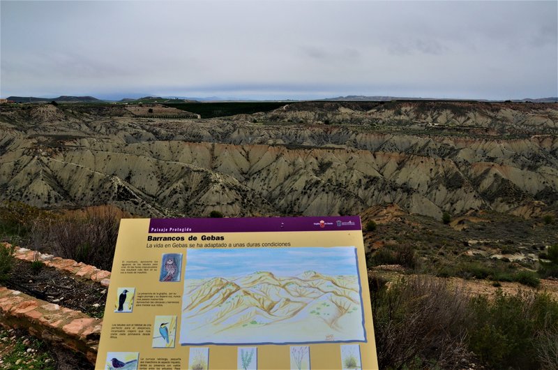 BARRANCO DE GEBAS-8-11-2012-MURCIA - Paseando por España-1991/2024 (13)