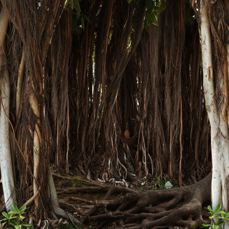 Autumn Witchery Papers (29)