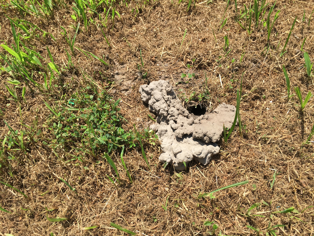 D7CEC51B-07A3-4349-BA27-BE2872126900