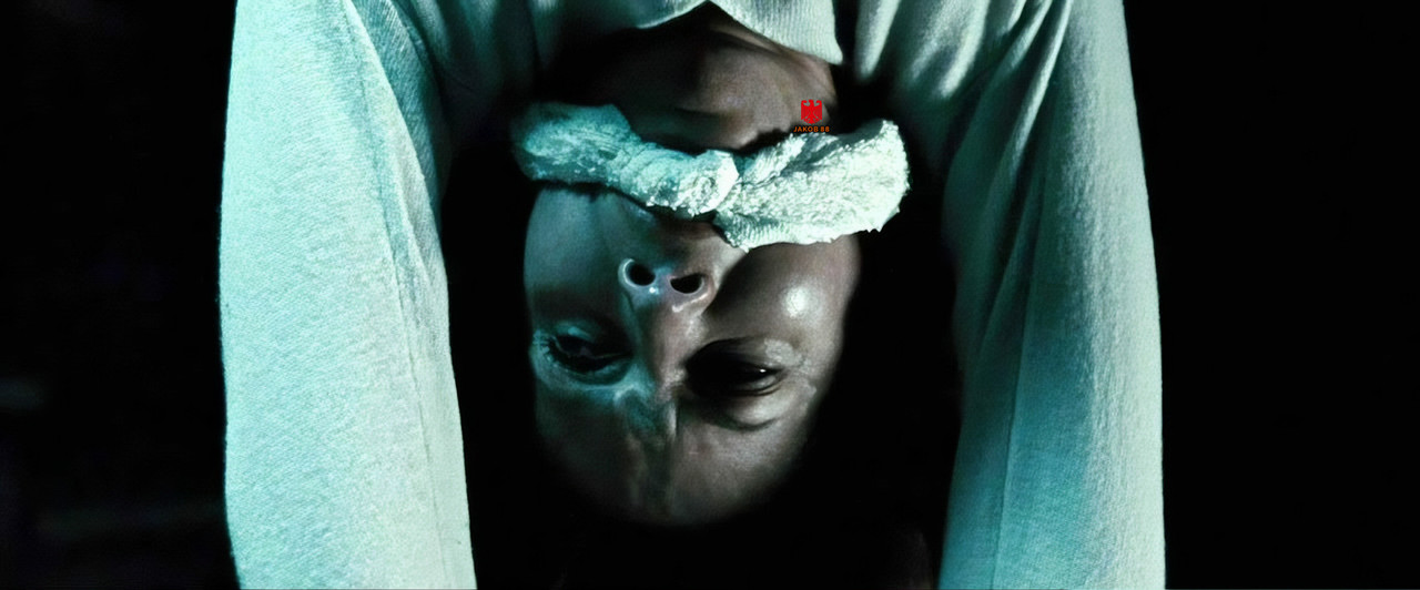Diane Lane 7 - Untraceable 2008
