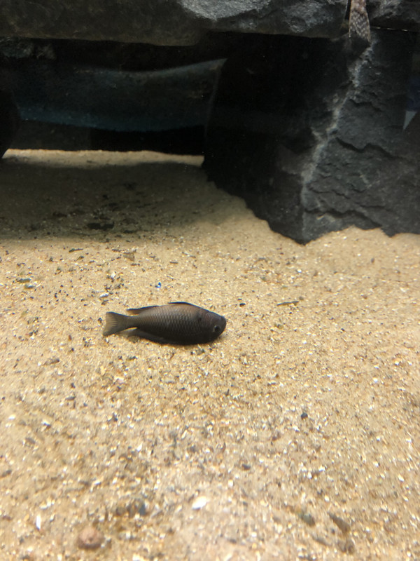 cK1E 2hrSKeODZroe8gWOw