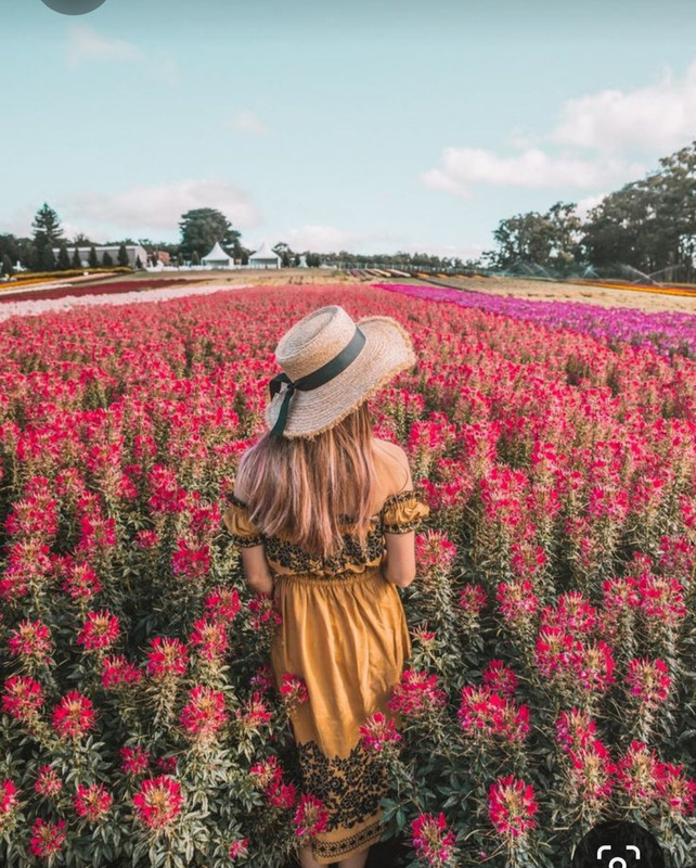 Screenshot_20230614_015354_Pinterest