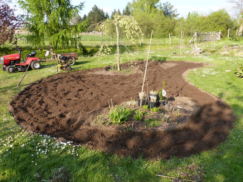 2014-04-19 Gräserbeet3