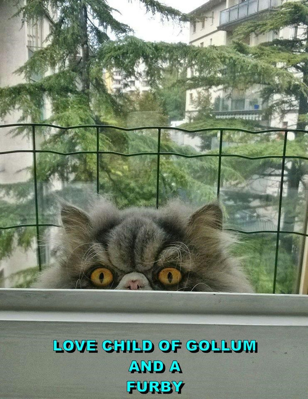 love-child