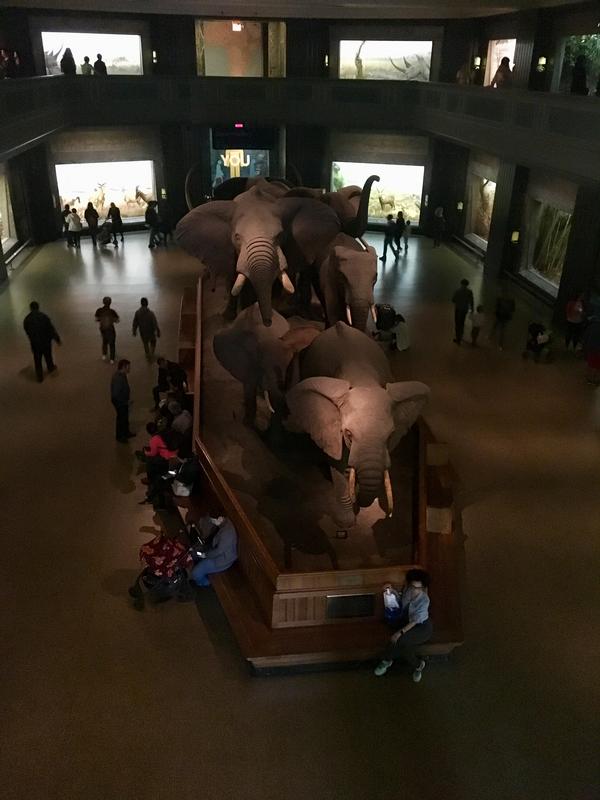 60EC1F3E-9373-43CB-AD28-BFAC6979DD2A