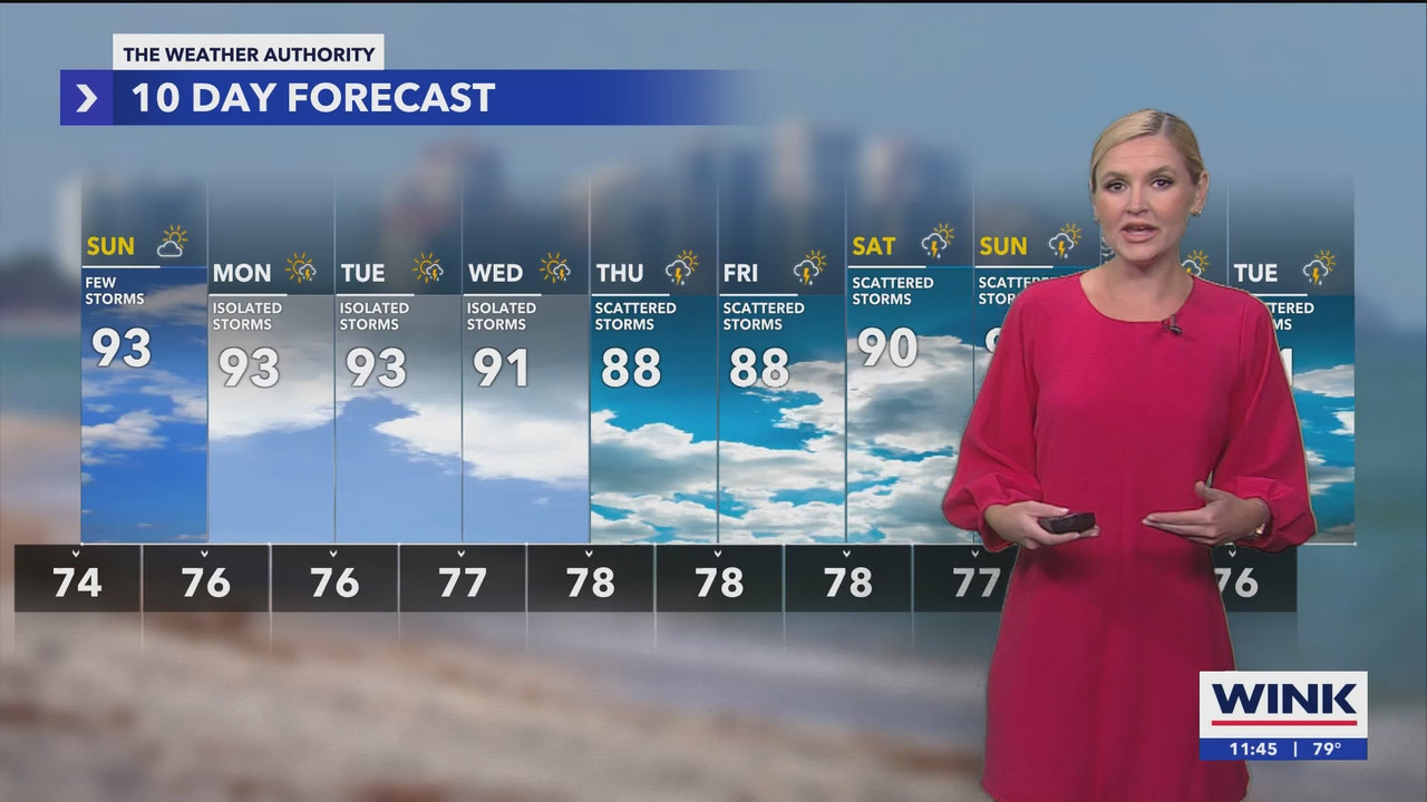 WINK News at 11_20240922_04000500.ts_snapshot_00.47.44.215