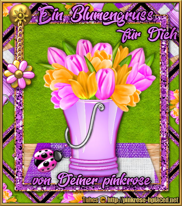 An den Beitrag angehängtes Bild: https://i.postimg.cc/pTYckpYM/Blumengruss-fuer-Dich2026-pinkrose2.jpg