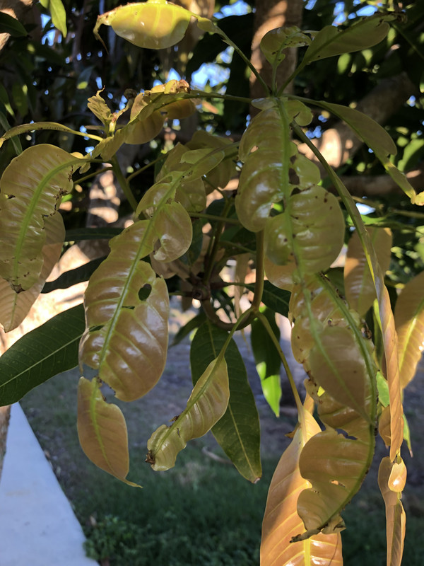 2023-03-27 Phone Pics 042