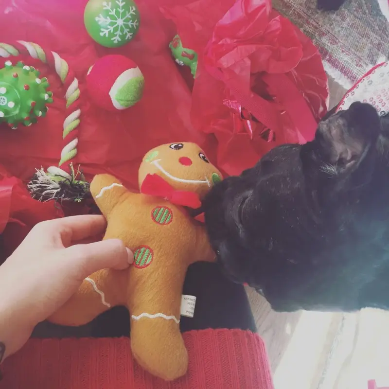 12-25-16-Instagram-002.webp