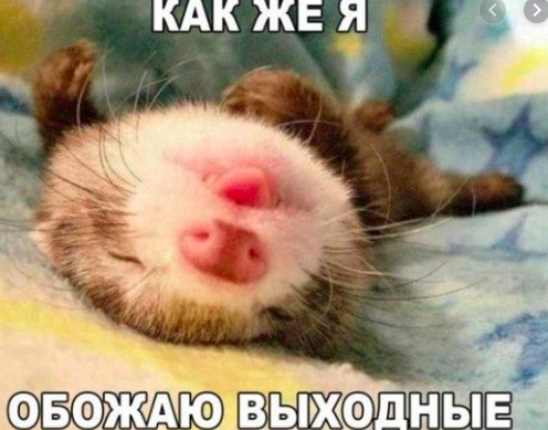 Screen Shot 2020-01-27 at 13.23.06