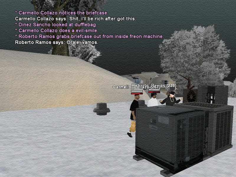 SSRoleplay248.png