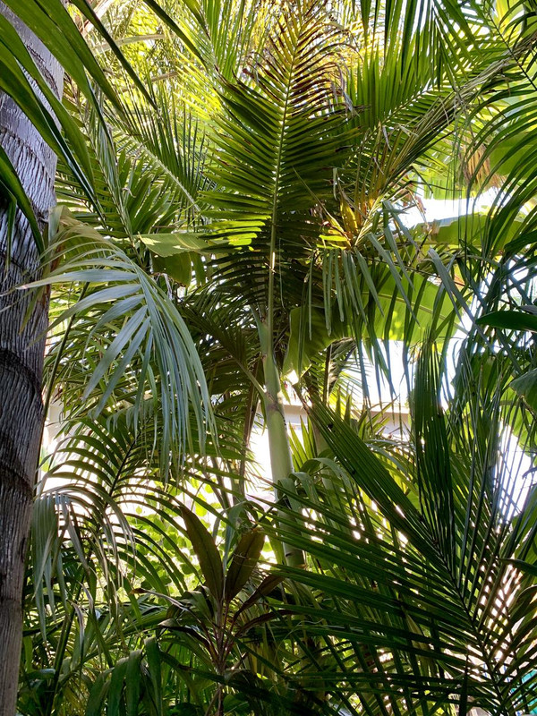 6850F1EF-9C81-43BB-B5C7-53F8F7C3433D