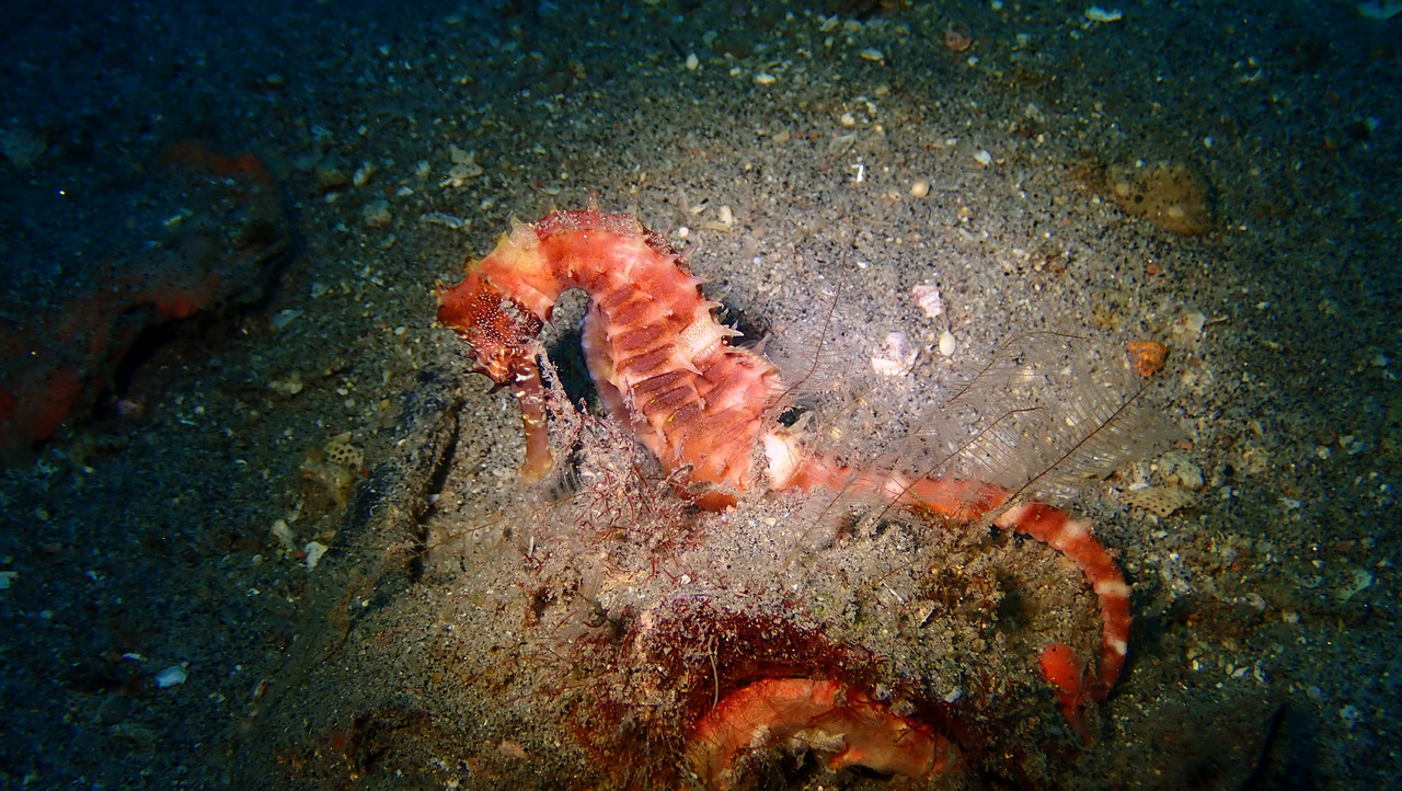 097ADC20-4FD3-43AF-8AFD-3DE396DFC2DA