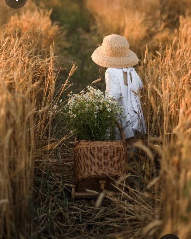 Screenshot_20240402_230331_Pinterest