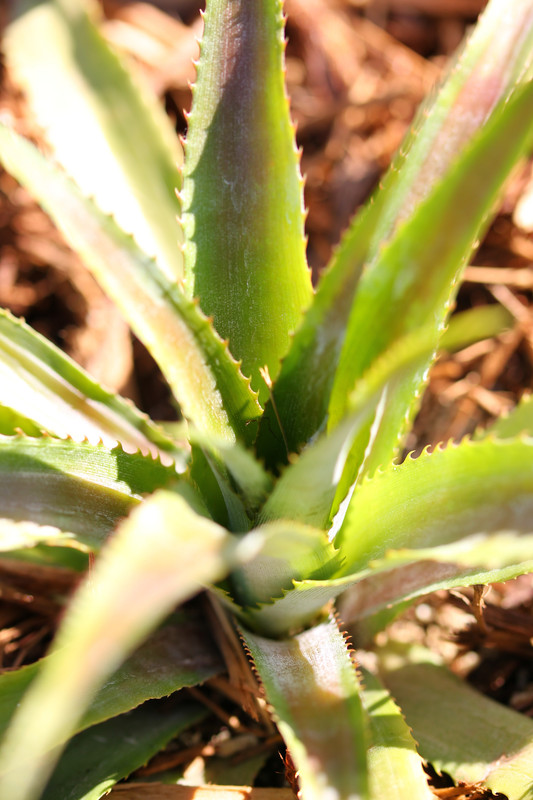 751D087C-0DCA-4228-BAB0-CAFA3D4CFF9B